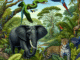 jungle animals